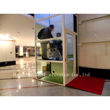 Screw sightseeing outdoor elevator / wheelchair lifts for disabled people